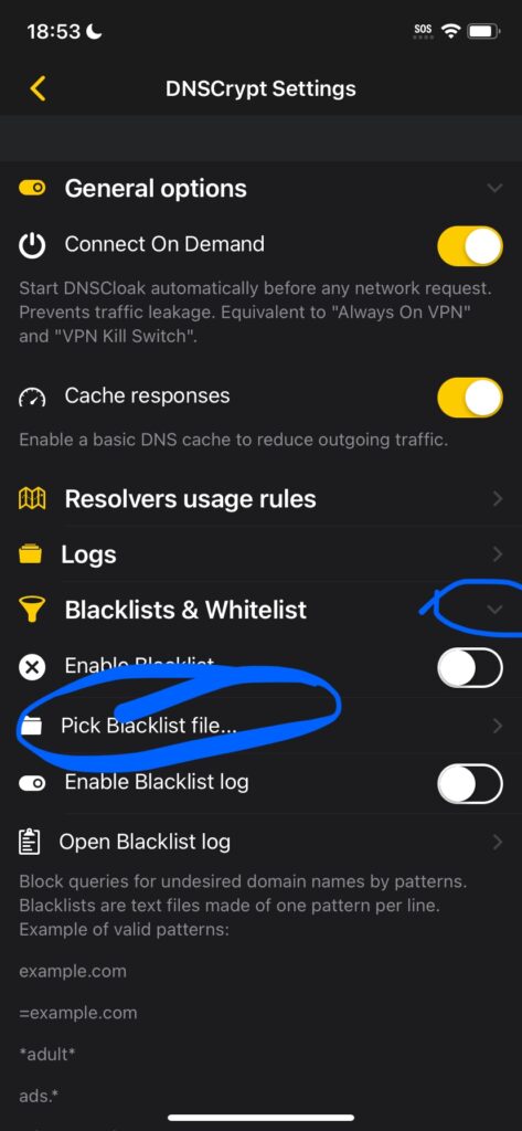 DNSCloak Method Step 4